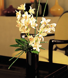  Ar iekiler  cam yada mika vazo ierisinde dal orkide
