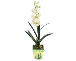 zel Yapay Orkide Beyaz   Ar online ieki , iek siparii 