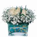 mika ve beyaz gül renkli taslar   Ağrı çiçek satışı 