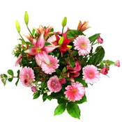 lilyum ve gerbera çiçekleri - çiçek seçimi -  Ağrı çiçek gönderme 