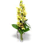  Ağrı İnternetten çiçek siparişi  cam vazo içerisinde tek dal canli orkide