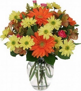  Ağrı hediye sevgilime hediye çiçek  vazo içerisinde karışık mevsim çiçekleri