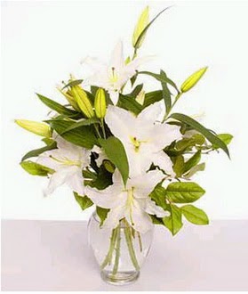  Ağrı çiçek gönderme  2 dal cazablanca vazo çiçeği